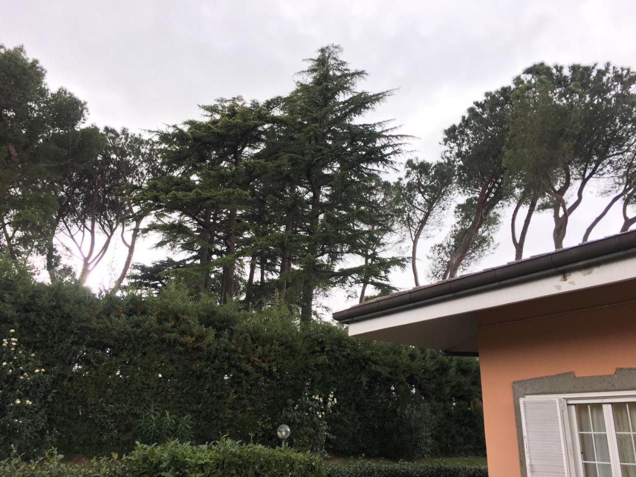 Villagio B&B Frascati Bagian luar foto
